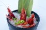 056 SASHIMI GAMBERI ROSO 3PZ