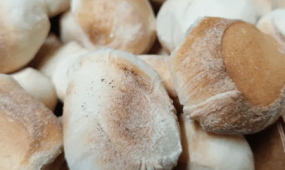 Dough - Balls (bułeczki)