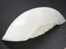 Nigiri Ika