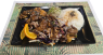 Kamo teriyaki