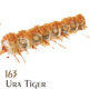 163. Ura Tiger