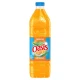 Oasis 2L