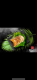 Poulet 