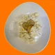 Pasta Ripiena Pera Gorgonzola