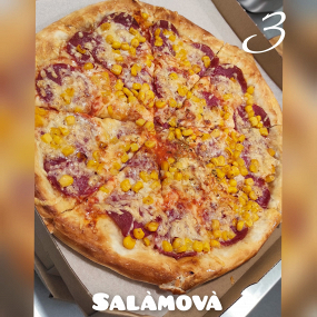 3. SALAMOVÁ 