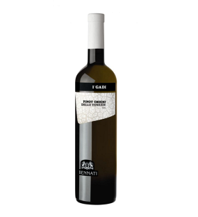 565.PINOT GRIGIO DELLE VENEZIA