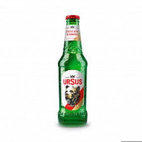 Sticla Bere Ursus Premium 0,33l