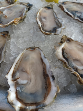 🦪 Les Fines de Claire Marennes-Oléron