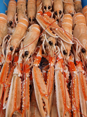Langoustines x6