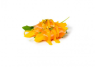 Salmon flower