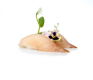Nigiri Ricciola