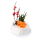 Sashimi Salmone