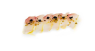 Carpaccio Ricciola
