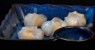 36 Ravioli di pollo (cucinati alla piastra 4pz.
