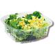 Salade Fraiche