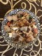 Korfu Salat