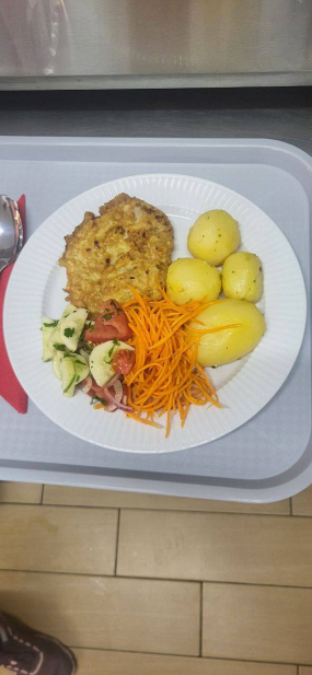 Filet z kurczaka panierowany w jajku