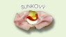 Šunkový
