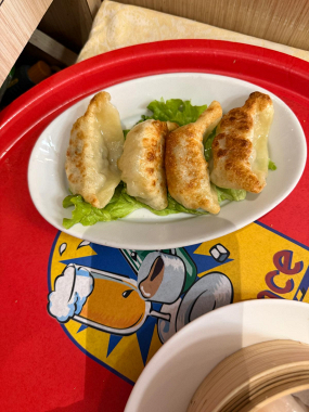 V8 Raviolis pékinois grillés au porc ou légumes