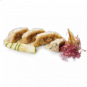 A8  GYOZA DI POLLO GRIGLIATE 4pz