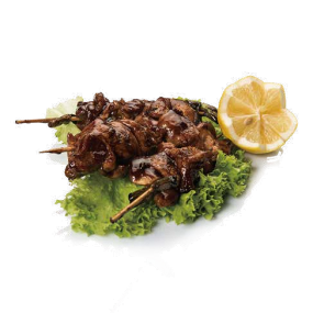 TP20 SPIEDINI DI POLLO