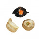 28. Gyoza misto (3pz)