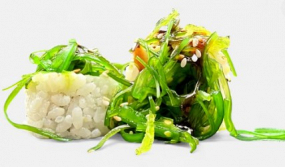 Lesní drak s wakame 8ks