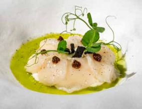 802. Capesanta Burrata