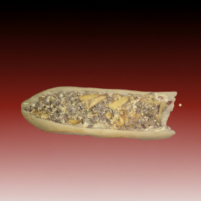 Omelette frites viande hachée