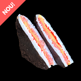 Tuna Sandwich