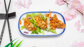 Gyoza poulet et légumes