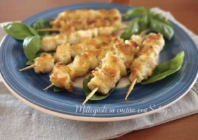 T20. SPIEDINI DI POLLO 4PZ