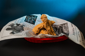 11C. SMAŽENÉ KUŘECÍ STRIPS 5KS