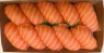 Nigiri Saumon Taille L /10 pieces