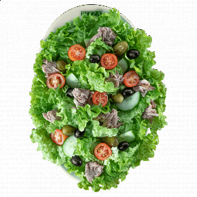SALADE CRUDITÉS THON