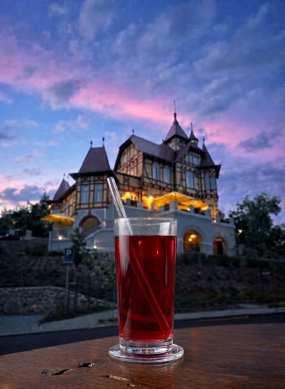 Brusinková limonáda / Cranberry Limonade 0,5l