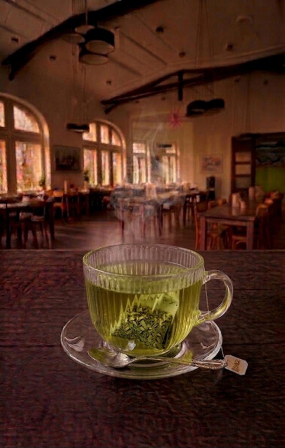 Čaj porcovaný: zelený / Tee in Beuteln: Grüner Tee 0,4l