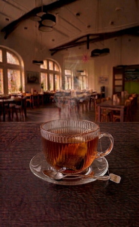 Čaj porcovaný: černý / Tee in Beuteln: Schwarzer Tee 0,4l