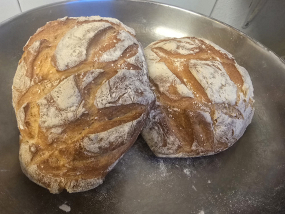 Pugliesino di grano duro a lievito madre