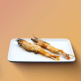 Y6 Gambas 