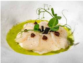 802 · CAPASANTA BURRATA