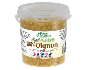 OIGNONS FRITS