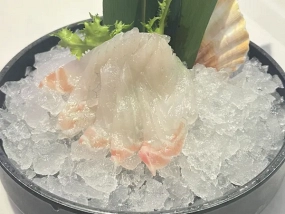 J54-sashimi Branzino