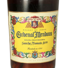 Cardenal Mendoza 