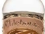 Chlebovica
