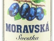 Moravská slivka biela
