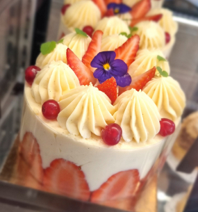 Fraisier Individuel