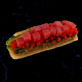 Roll dog tyńczyk