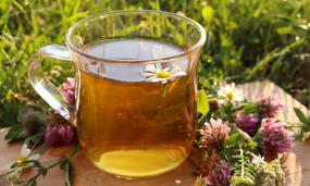 Tisane / infusion