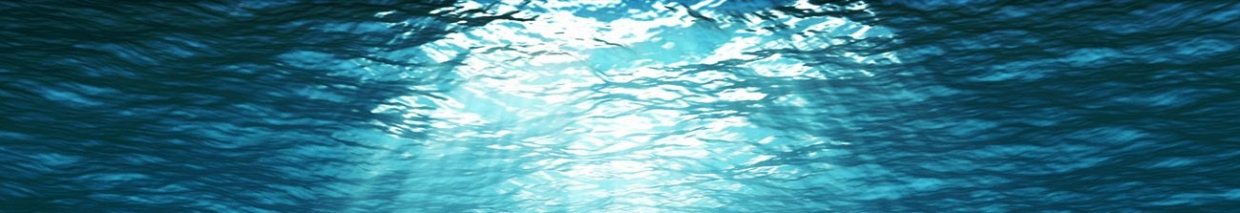 NOS PRODUITS DE LA MER